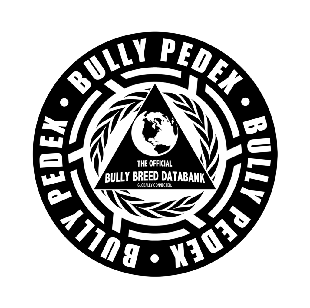 bully pedex International Convention Center